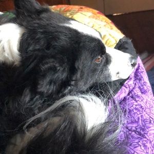 Meet your Posher, Tina